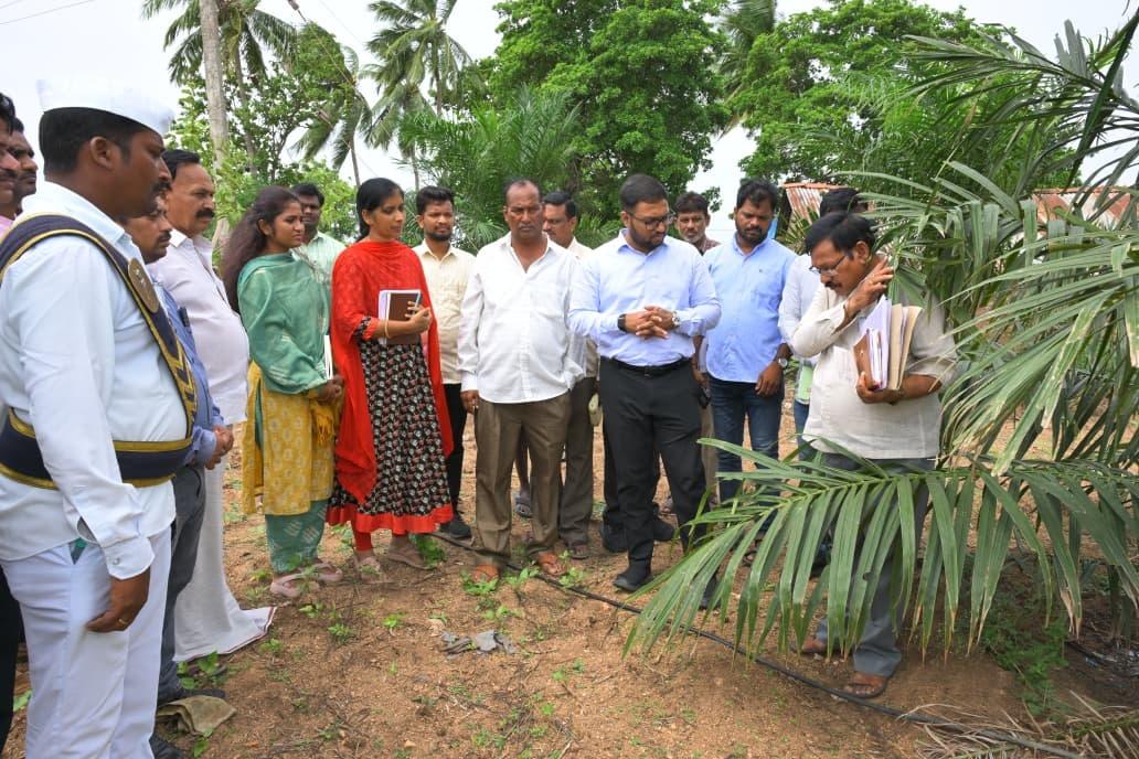 Suryapet Collector Urges Farmers To Shift From Paddy To Oil Palm