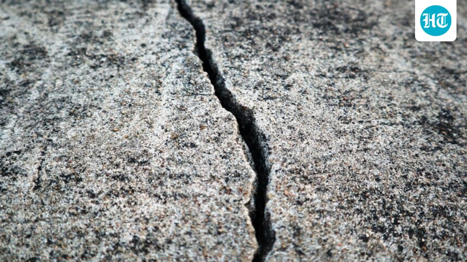 San Francisco earthquakes: 2 tremors shake SF Zoo, residents speak out: ‘Sharp shock’