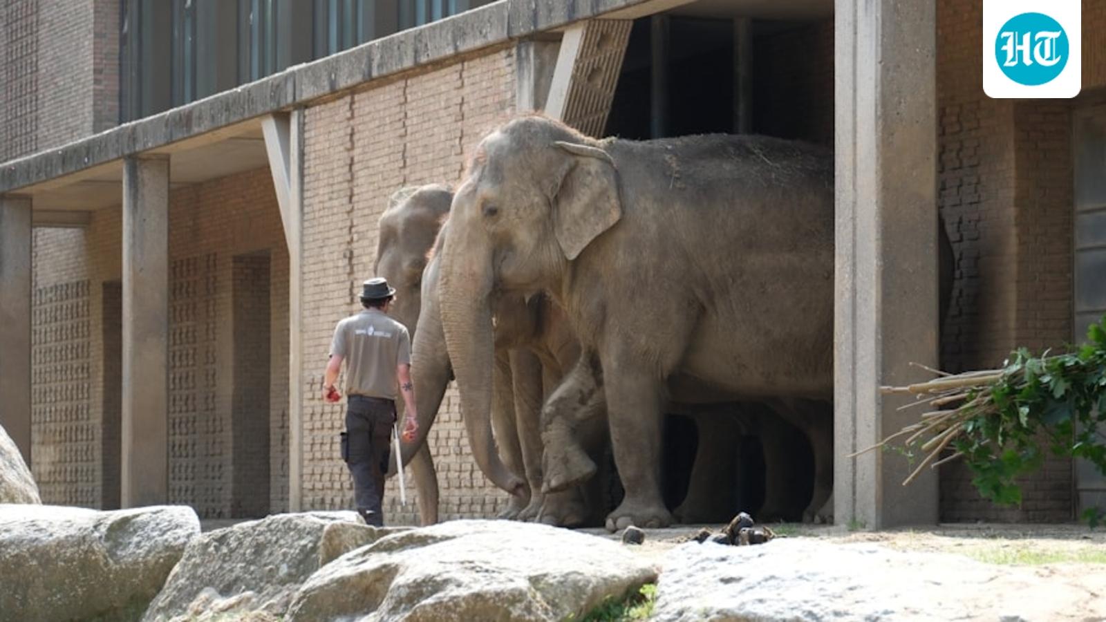 Toledo Zoo bomb threat: Facility in Ohio evacuated amid bomb threat; what we know so far