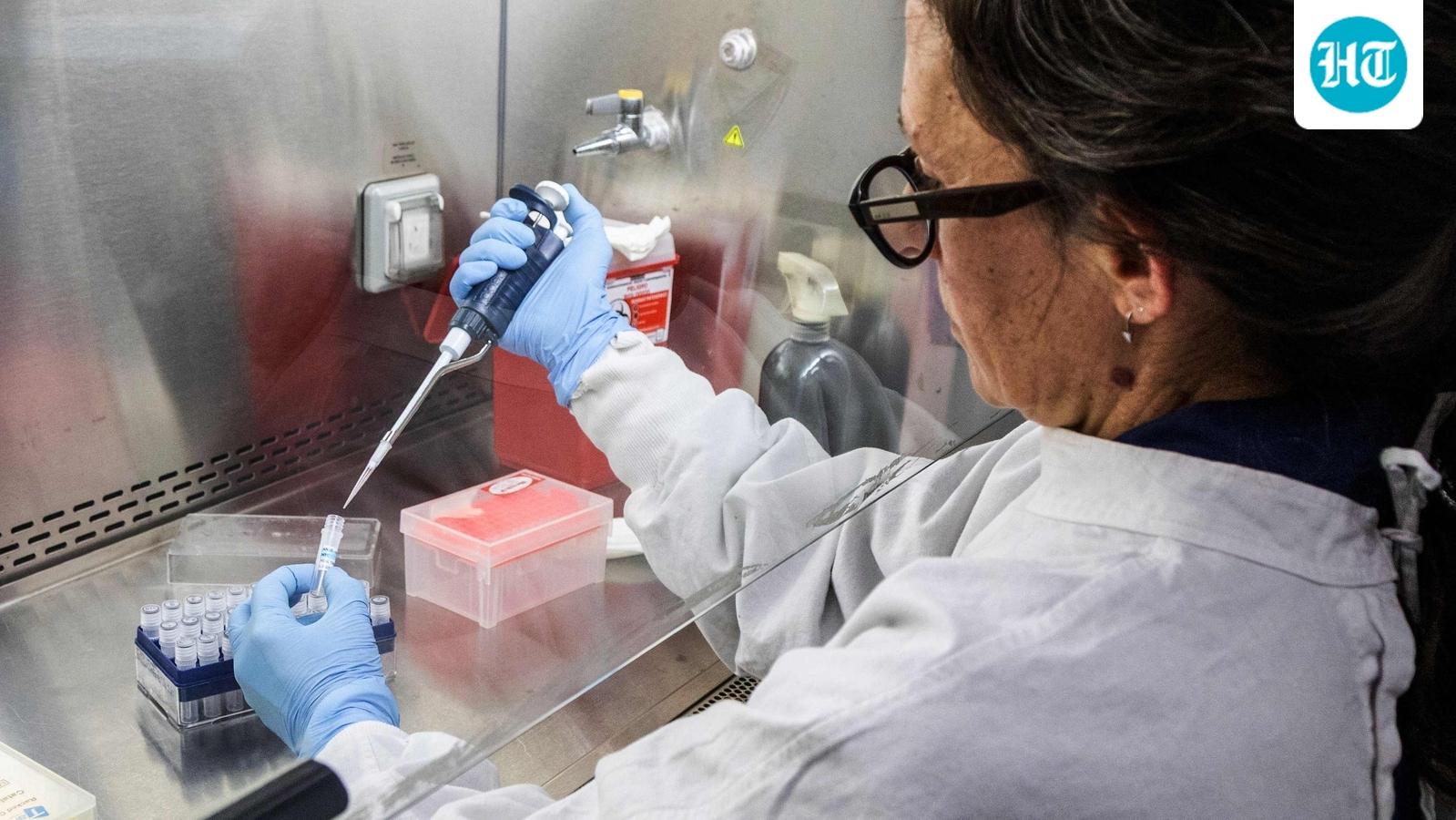 ‘Very limited experience…’: Experts provide key update after 3 evacuated from hantavirus-hit ship