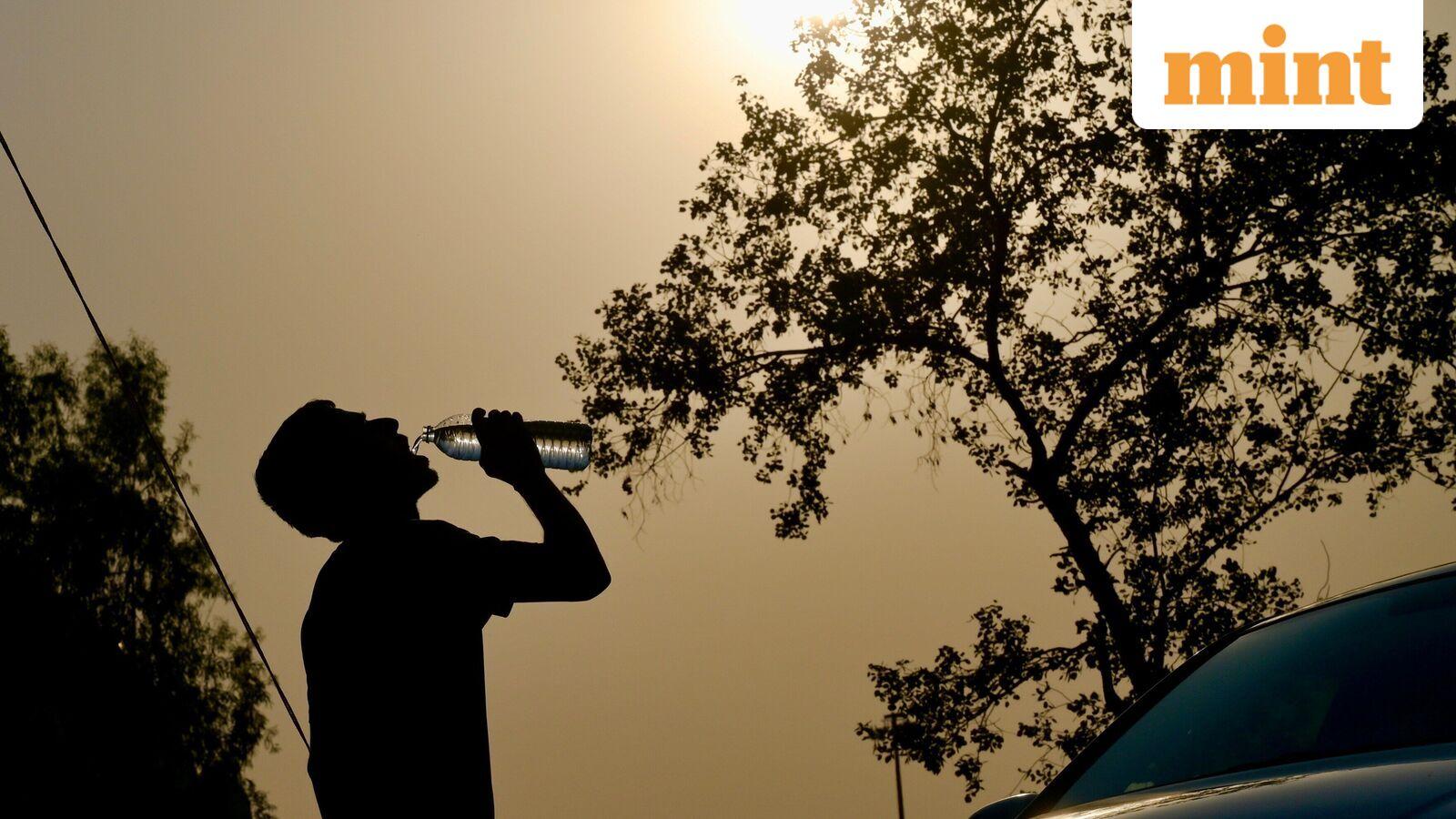 Weather tomorrow: Delhi to get respite from heatwave? IMD predicts light rainfall, thunderstorm