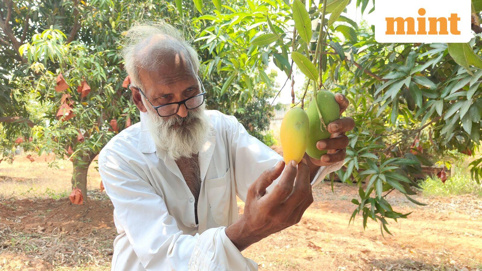 The barefoot scientist: How a self-taught breeder gave mangoes a winter coat