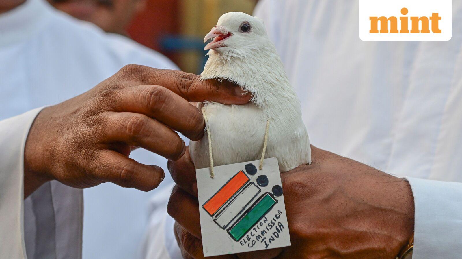 Election Results 2026: When will counting begin in Kerala, Bengal, Assam, Tamil Nadu, Puducherry — Where to watch