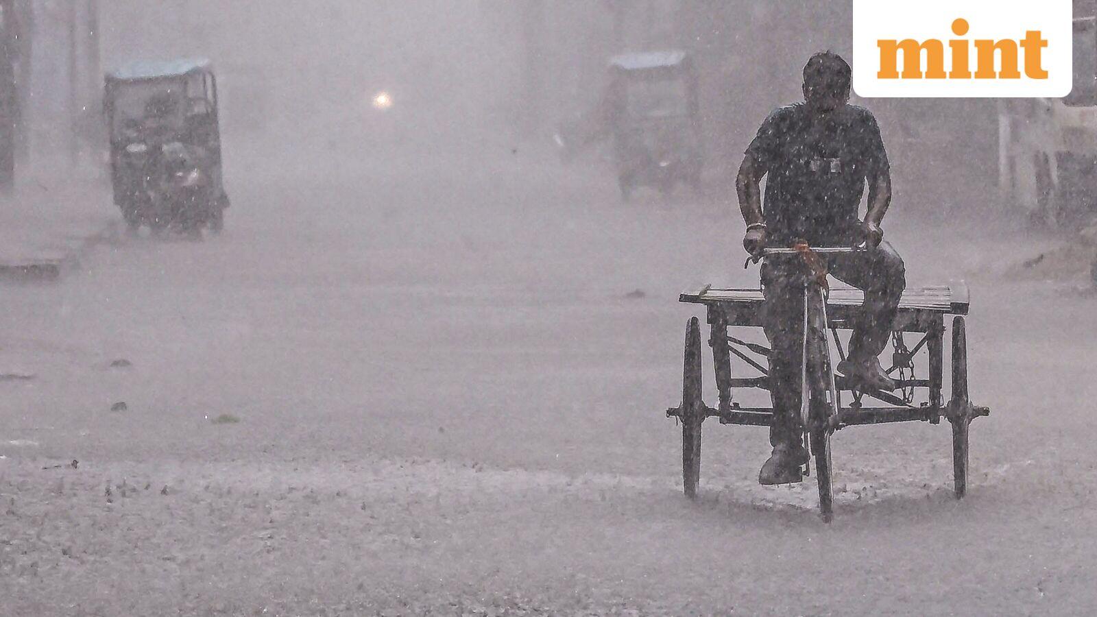 Weather today: Heavy rains to lash Kerala, Tamil Nadu, Puducherry; IMD issues heatwave alert in these states