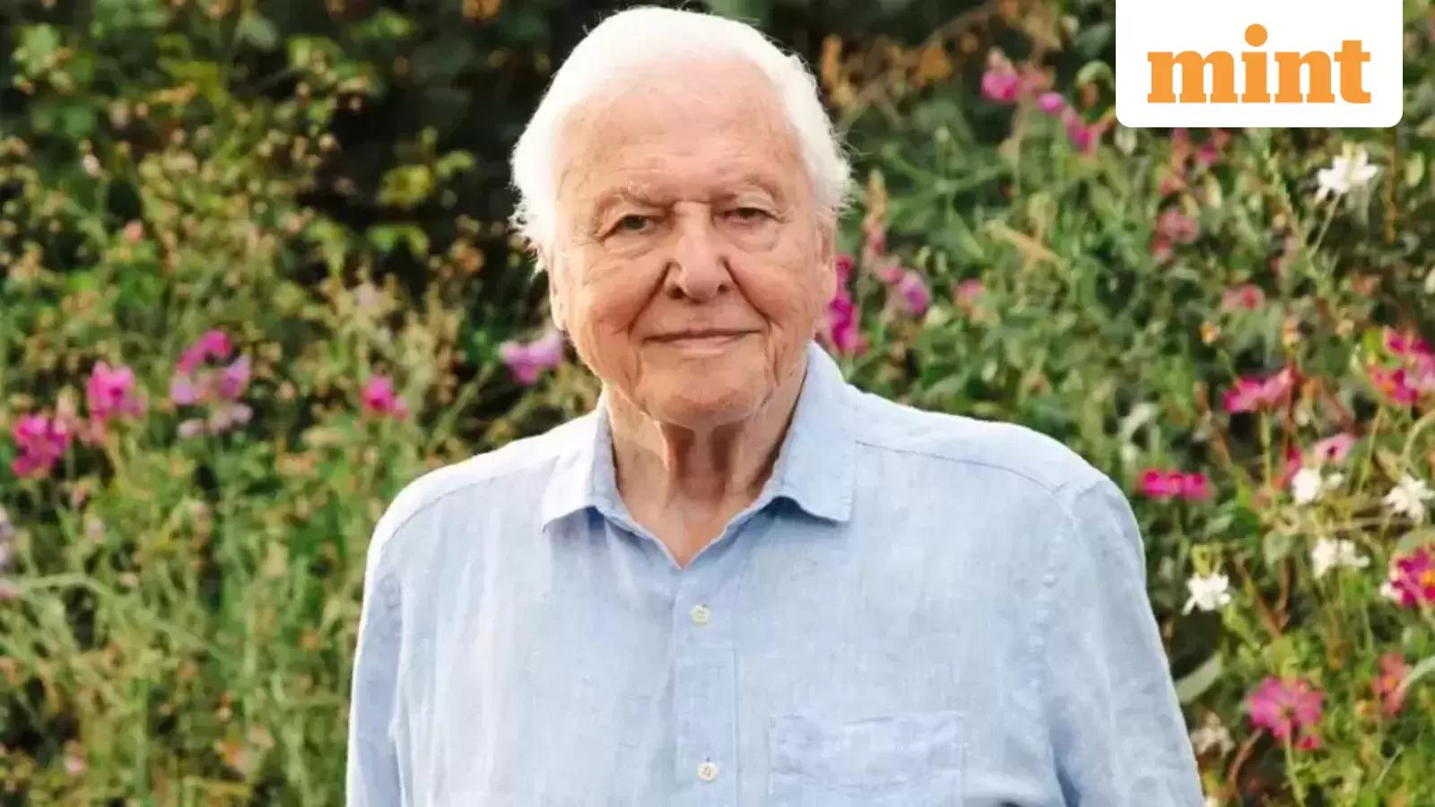 Sir David Attenborough Turns 100: Celebrating a life dedicated to nature and global conservation