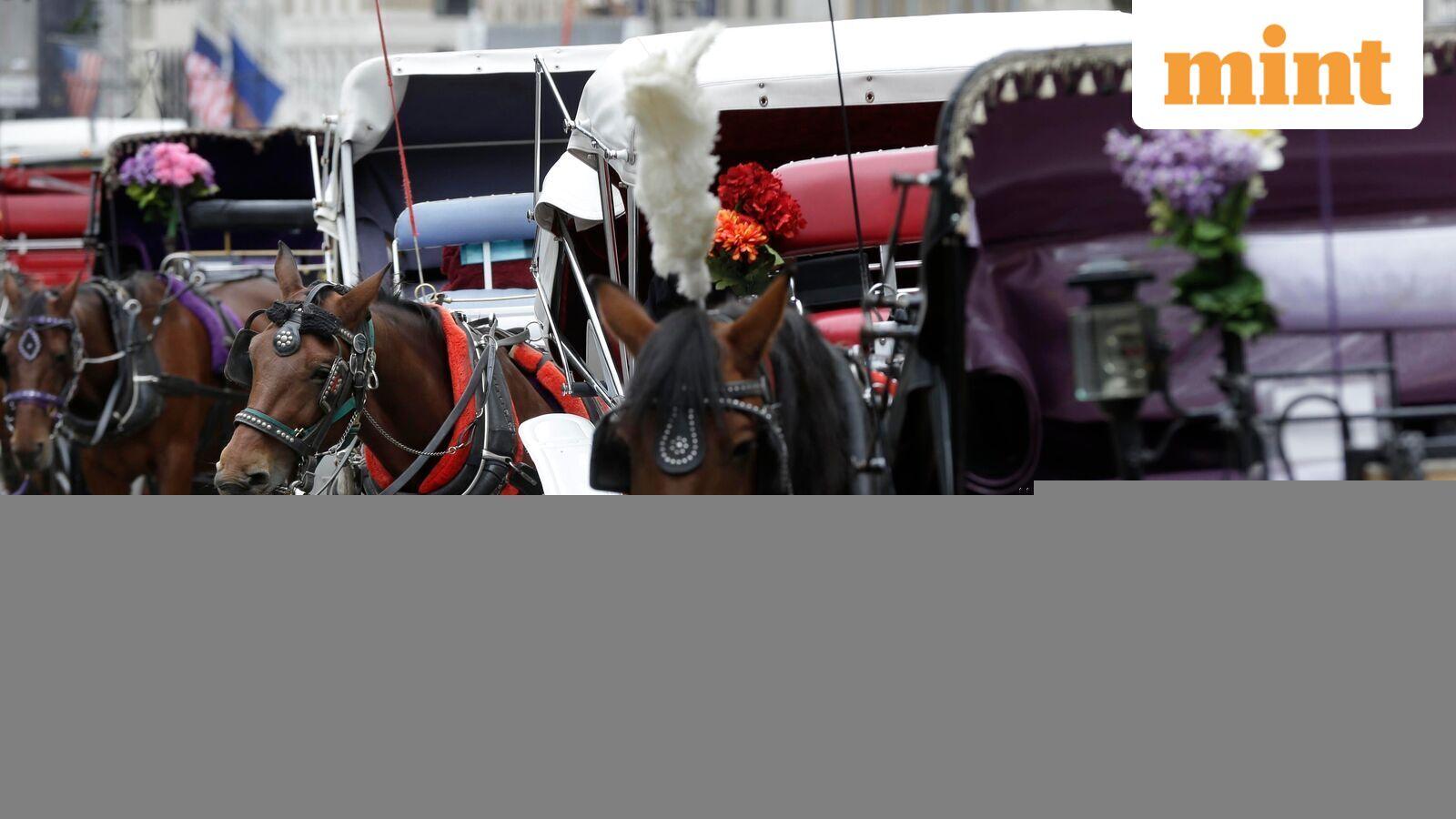 Video: Indian tourist succumbs to injuries after being thrown from horse-drawn carriage in NYC's Central Park