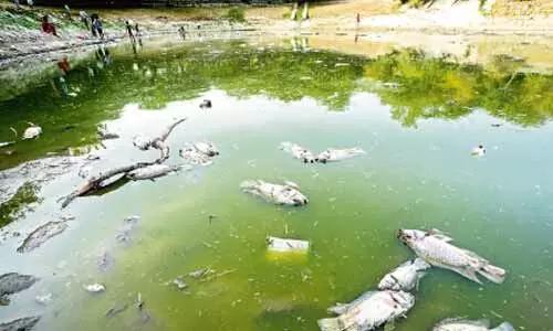 నిప్పుల వాన