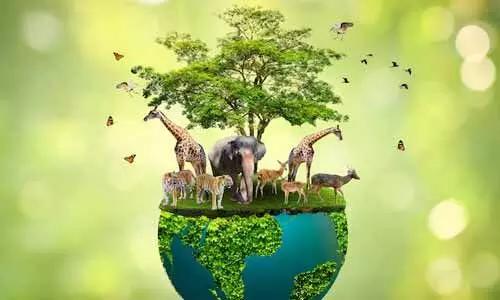 జీవవైవిధ్య పరిరక్షణతోనే సుస్థిర అభివృద్ధి