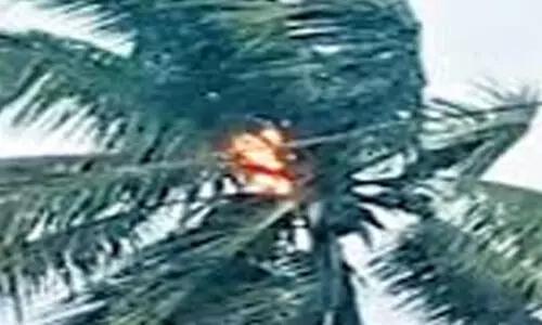 విశాఖలో భారీ వర్షం.... కొబ్బరి చెట్టుపై పడిన పిడుగు